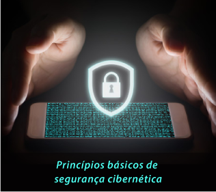BLUEPEX® CYBERSECURITY | Os Princípios da Segurança Cibernética